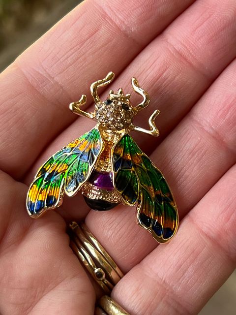 8d346c43-6c18-40aa-bb63-538b451b536d_480x640